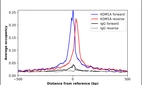 ChIP-Exo-Seq composite graph for Anti-KDM1A (HPA053660, Lot R71402) tested in K562 cells. Strand-specific reads (blue: forward, red: reverse) and IgG controls (black: forward, grey: reverse) are plotted against the distance from a composite set of reference binding sites. The antibody exhibits robust target enrichment compared to a non-specific IgG control and precisely reveals its structural organization around the binding site. Data generated by Prof. B. F. Pugh´s Lab at Cornell University.