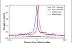 ChIP-Exo-Seq composite graph for Anti-TGIF2 (HPA053786, Lot R71722) tested in K562 cells. Strand-specific reads (blue: forward, red: reverse) and IgG controls (black: forward, grey: reverse) are plotted against the distance from a composite set of reference binding sites. The antibody exhibits robust target enrichment compared to a non-specific IgG control and precisely reveals its structural organization around the binding site. Data generated by Prof. B. F. Pugh´s Lab at Cornell University.
