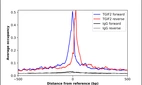 ChIP-Exo-Seq composite graph for Anti-TGIF2 (HPA053786, Lot R71722) tested in K562 cells. Strand-specific reads (blue: forward, red: reverse) and IgG controls (black: forward, grey: reverse) are plotted against the distance from a composite set of reference binding sites. The antibody exhibits robust target enrichment compared to a non-specific IgG control and precisely reveals its structural organization around the binding site. Data generated by Prof. B. F. Pugh´s Lab at Cornell University.
