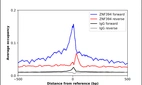 ChIP-Exo-Seq composite graph for Anti-ZNF394 (HPA054639, Lot R72512) tested in K562 cells. Strand-specific reads (blue: forward, red: reverse) and IgG controls (black: forward, grey: reverse) are plotted against the distance from a composite set of reference binding sites. The antibody exhibits robust target enrichment compared to a non-specific IgG control and precisely reveals its structural organization around the binding site. Data generated by Prof. B. F. Pugh´s Lab at Cornell University.