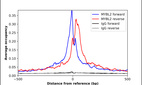 ChIP-Exo-Seq composite graph for Anti-MYBL2 (HPA055416, Lot R74100) tested in K562 cells. Strand-specific reads (blue: forward, red: reverse) and IgG controls (black: forward, grey: reverse) are plotted against the distance from a composite set of reference binding sites. The antibody exhibits robust target enrichment compared to a non-specific IgG control and precisely reveals its structural organization around the binding site. Data generated by Prof. B. F. Pugh´s Lab at Cornell University.