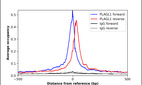 ChIP-Exo-Seq composite graph for Anti-PLAGL1 (HPA055706, Lot R74331) tested in K562 cells. Strand-specific reads (blue: forward, red: reverse) and IgG controls (black: forward, grey: reverse) are plotted against the distance from a composite set of reference binding sites. The antibody exhibits robust target enrichment compared to a non-specific IgG control and precisely reveals its structural organization around the binding site. Data generated by Prof. B. F. Pugh´s Lab at Cornell University.