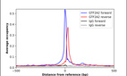 ChIP-Exo-Seq composite graph for Anti-GTF2A2 (HPA056239, Lot R74782) tested in K562 cells. Strand-specific reads (blue: forward, red: reverse) and IgG controls (black: forward, grey: reverse) are plotted against the distance from a composite set of reference binding sites. The antibody exhibits robust target enrichment compared to a non-specific IgG control and precisely reveals its structural organization around the binding site. Data generated by Prof. B. F. Pugh´s Lab at Cornell University.