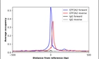 ChIP-Exo-Seq composite graph for Anti-GTF2A2 (HPA056239, Lot R74782) tested in K562 cells. Strand-specific reads (blue: forward, red: reverse) and IgG controls (black: forward, grey: reverse) are plotted against the distance from a composite set of reference binding sites. The antibody exhibits robust target enrichment compared to a non-specific IgG control and precisely reveals its structural organization around the binding site. Data generated by Prof. B. F. Pugh´s Lab at Cornell University.