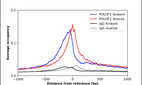 ChIP-Exo-Seq composite graph for Anti-POU3F2 (HPA056261, Lot 000051302) tested in K562 cells. Strand-specific reads (blue: forward, red: reverse) and IgG controls (black: forward, grey: reverse) are plotted against the distance from a composite set of reference binding sites. The antibody exhibits robust target enrichment compared to a non-specific IgG control and precisely reveals its structural organization around the binding site. Data generated by Prof. B. F. Pugh´s Lab at Cornell University.