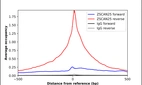 ChIP-Exo-Seq composite graph for Anti-ZSCAN25 (HPA057173, Lot R80418) tested in K562 cells. Strand-specific reads (blue: forward, red: reverse) and IgG controls (black: forward, grey: reverse) are plotted against the distance from a composite set of reference binding sites. The antibody exhibits robust target enrichment compared to a non-specific IgG control and precisely reveals its structural organization around the binding site. Data generated by Prof. B. F. Pugh´s Lab at Cornell University.