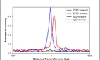 ChIP-Exo-Seq composite graph for Anti-ZFP3 (HPA057290, Lot R80440) tested in K562 cells. Strand-specific reads (blue: forward, red: reverse) and IgG controls (black: forward, grey: reverse) are plotted against the distance from a composite set of reference binding sites. The antibody exhibits robust target enrichment compared to a non-specific IgG control and precisely reveals its structural organization around the binding site. Data generated by Prof. B. F. Pugh´s Lab at Cornell University.
