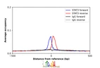 ChIP-Exo-Seq composite graph for Anti-STAT3 (HPA058603, Lot 000018073) tested in K562 cells. Strand-specific reads (blue: forward, red: reverse) and IgG controls (black: forward, grey: reverse) are plotted against the distance from a composite set of reference binding sites. The antibody exhibits robust target enrichment compared to a non-specific IgG control and precisely reveals its structural organization around the binding site. Data generated by Prof. B. F. Pugh´s Lab at Cornell University.