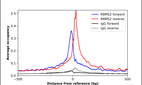 ChIP-Exo-Seq composite graph for Anti-RBMS2 (HPA058784, Lot R82286) tested in K562 cells. Strand-specific reads (blue: forward, red: reverse) and IgG controls (black: forward, grey: reverse) are plotted against the distance from a composite set of reference binding sites. The antibody exhibits robust target enrichment compared to a non-specific IgG control and precisely reveals its structural organization around the binding site. Data generated by Prof. B. F. Pugh´s Lab at Cornell University.