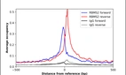 ChIP-Exo-Seq composite graph for Anti-RBMS2 (HPA058784, Lot R82286) tested in K562 cells. Strand-specific reads (blue: forward, red: reverse) and IgG controls (black: forward, grey: reverse) are plotted against the distance from a composite set of reference binding sites. The antibody exhibits robust target enrichment compared to a non-specific IgG control and precisely reveals its structural organization around the binding site. Data generated by Prof. B. F. Pugh´s Lab at Cornell University.