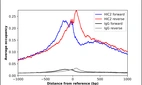 ChIP-Exo-Seq composite graph for Anti-HIC2 (HPA059399, Lot R82814) tested in K562 cells. Strand-specific reads (blue: forward, red: reverse) and IgG controls (black: forward, grey: reverse) are plotted against the distance from a composite set of reference binding sites. The antibody exhibits robust target enrichment compared to a non-specific IgG control and precisely reveals its structural organization around the binding site. Data generated by Prof. B. F. Pugh´s Lab at Cornell University.