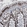 Anti-HNRNPC Antibody