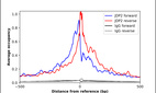 ChIP-Exo-Seq composite graph for Anti-JDP2 (HPA059511, Lot 000025104) tested in K562 cells. Strand-specific reads (blue: forward, red: reverse) and IgG controls (black: forward, grey: reverse) are plotted against the distance from a composite set of reference binding sites. The antibody exhibits robust target enrichment compared to a non-specific IgG control and precisely reveals its structural organization around the binding site. Data generated by Prof. B. F. Pugh´s Lab at Cornell University.