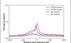 ChIP-Exo-Seq composite graph for Anti-GTF2B (HPA061626, Lot R86237) tested in K562 cells. Strand-specific reads (blue: forward, red: reverse) and IgG controls (black: forward, grey: reverse) are plotted against the distance from a composite set of reference binding sites. The antibody exhibits robust target enrichment compared to a non-specific IgG control and precisely reveals its structural organization around the binding site. Data generated by Prof. B. F. Pugh´s Lab at Cornell University.
