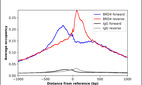 ChIP-Exo-Seq composite graph for Anti-BRD4 (HPA061646, Lot 000047957) tested in K562 cells. Strand-specific reads (blue: forward, red: reverse) and IgG controls (black: forward, grey: reverse) are plotted against the distance from a composite set of reference binding sites. The antibody exhibits robust target enrichment compared to a non-specific IgG control and precisely reveals its structural organization around the binding site. Data generated by Prof. B. F. Pugh´s Lab at Cornell University.