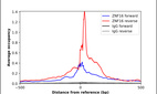 ChIP-Exo-Seq composite graph for Anti-ZNF16 (HPA061835, Lot R86428) tested in K562 cells. Strand-specific reads (blue: forward, red: reverse) and IgG controls (black: forward, grey: reverse) are plotted against the distance from a composite set of reference binding sites. The antibody exhibits robust target enrichment compared to a non-specific IgG control and precisely reveals its structural organization around the binding site. Data generated by Prof. B. F. Pugh´s Lab at Cornell University.