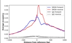 ChIP-Exo-Seq composite graph for Anti-SIN3A (HPA062123, Lot 000022965) tested in K562 cells. Strand-specific reads (blue: forward, red: reverse) and IgG controls (black: forward, grey: reverse) are plotted against the distance from a composite set of reference binding sites. The antibody exhibits robust target enrichment compared to a non-specific IgG control and precisely reveals its structural organization around the binding site. Data generated by Prof. B. F. Pugh´s Lab at Cornell University.