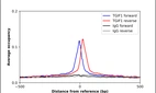 ChIP-Exo-Seq composite graph for Anti-TGIF1 (HPA062160, Lot 000021109) tested in K562 cells. Strand-specific reads (blue: forward, red: reverse) and IgG controls (black: forward, grey: reverse) are plotted against the distance from a composite set of reference binding sites. The antibody exhibits robust target enrichment compared to a non-specific IgG control and precisely reveals its structural organization around the binding site. Data generated by Prof. B. F. Pugh´s Lab at Cornell University.