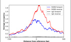 ChIP-Exo-Seq composite graph for Anti-RXRB (HPA063653, Lot 000014382) tested in K562 cells. Strand-specific reads (blue: forward, red: reverse) and IgG controls (black: forward, grey: reverse) are plotted against the distance from a composite set of reference binding sites. The antibody exhibits robust target enrichment compared to a non-specific IgG control and precisely reveals its structural organization around the binding site. Data generated by Prof. B. F. Pugh´s Lab at Cornell University.