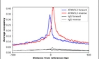 ChIP-Exo-Seq composite graph for Anti-ATXN7L3 (HPA064316, Lot R90145) tested in K562 cells. Strand-specific reads (blue: forward, red: reverse) and IgG controls (black: forward, grey: reverse) are plotted against the distance from a composite set of reference binding sites. The antibody exhibits robust target enrichment compared to a non-specific IgG control and precisely reveals its structural organization around the binding site. Data generated by Prof. B. F. Pugh´s Lab at Cornell University.