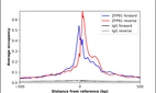ChIP-Exo-Seq composite graph for Anti-ZFP91 (HPA065325, Lot R92246) tested in K562 cells. Strand-specific reads (blue: forward, red: reverse) and IgG controls (black: forward, grey: reverse) are plotted against the distance from a composite set of reference binding sites. The antibody exhibits robust target enrichment compared to a non-specific IgG control and precisely reveals its structural organization around the binding site. Data generated by Prof. B. F. Pugh´s Lab at Cornell University.