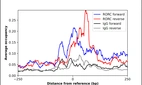 ChIP-Exo-Seq composite graph for Anti-RORC (HPA065620, Lot 000027322) tested in K562 cells. Strand-specific reads (blue: forward, red: reverse) and IgG controls (black: forward, grey: reverse) are plotted against the distance from a composite set of reference binding sites. The antibody exhibits robust target enrichment compared to a non-specific IgG control and precisely reveals its structural organization around the binding site. Data generated by Prof. B. F. Pugh´s Lab at Cornell University.