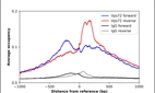 ChIP-Exo-Seq composite graph for Anti-VPS72 (HPA065709, Lot R92992) tested in K562 cells. Strand-specific reads (blue: forward, red: reverse) and IgG controls (black: forward, grey: reverse) are plotted against the distance from a composite set of reference binding sites. The antibody exhibits robust target enrichment compared to a non-specific IgG control and precisely reveals its structural organization around the binding site. Data generated by Prof. B. F. Pugh´s Lab at Cornell University.