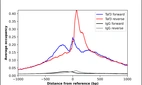 ChIP-Exo-Seq composite graph for Anti-TAF3 (HPA066184, Lot R94103) tested in K562 cells. Strand-specific reads (blue: forward, red: reverse) and IgG controls (black: forward, grey: reverse) are plotted against the distance from a composite set of reference binding sites. The antibody exhibits robust target enrichment compared to a non-specific IgG control and precisely reveals its structural organization around the binding site. Data generated by Prof. B. F. Pugh´s Lab at Cornell University.