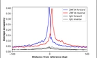ChIP-Exo-Seq composite graph for Anti-ZNF34 (HPA066805, Lot R102514) tested in K562 cells. Strand-specific reads (blue: forward, red: reverse) and IgG controls (black: forward, grey: reverse) are plotted against the distance from a composite set of reference binding sites. The antibody exhibits robust target enrichment compared to a non-specific IgG control and precisely reveals its structural organization around the binding site. Data generated by Prof. B. F. Pugh´s Lab at Cornell University.