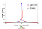 ChIP-Exo-Seq composite graph for Anti-FOXA2 (HPA066846, Lot R102569) tested in HepG2 cells. Strand-specific reads (blue: forward, red: reverse) and IgG controls (black: forward, grey: reverse) are plotted against the distance from a composite set of reference binding sites. The antibody exhibits robust target enrichment compared to a non-specific IgG control and precisely reveals its structural organization around the binding site. Data generated by Prof. B. F. Pugh´s Lab at Cornell University.