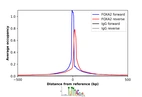 ChIP-Exo-Seq composite graph for Anti-FOXA2 (HPA066846, Lot R102569) tested in HepG2 cells. Strand-specific reads (blue: forward, red: reverse) and IgG controls (black: forward, grey: reverse) are plotted against the distance from a composite set of reference binding sites. The antibody exhibits robust target enrichment compared to a non-specific IgG control and precisely reveals its structural organization around the binding site. Data generated by Prof. B. F. Pugh´s Lab at Cornell University.