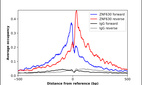 ChIP-Exo-Seq composite graph for Anti-ZNF630 (HPA068130, Lot R103386) tested in K562 cells. Strand-specific reads (blue: forward, red: reverse) and IgG controls (black: forward, grey: reverse) are plotted against the distance from a composite set of reference binding sites. The antibody exhibits robust target enrichment compared to a non-specific IgG control and precisely reveals its structural organization around the binding site. Data generated by Prof. B. F. Pugh´s Lab at Cornell University.