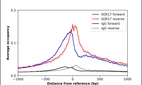 ChIP-Exo-Seq composite graph for Anti-SOX17 (HPA068399, Lot 000033219) tested in K562 cells. Strand-specific reads (blue: forward, red: reverse) and IgG controls (black: forward, grey: reverse) are plotted against the distance from a composite set of reference binding sites. The antibody exhibits robust target enrichment compared to a non-specific IgG control and precisely reveals its structural organization around the binding site. Data generated by Prof. B. F. Pugh´s Lab at Cornell University.