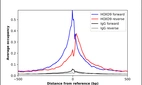 ChIP-Exo-Seq composite graph for Anti-HOXD9 (HPA068683, Lot R99968) tested in K562 cells. Strand-specific reads (blue: forward, red: reverse) and IgG controls (black: forward, grey: reverse) are plotted against the distance from a composite set of reference binding sites. The antibody exhibits robust target enrichment compared to a non-specific IgG control and precisely reveals its structural organization around the binding site. Data generated by Prof. B. F. Pugh´s Lab at Cornell University.