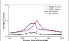 ChIP-Exo-Seq composite graph for Anti-MED25 (HPA068802, Lot 000018373) tested in K562 cells. Strand-specific reads (blue: forward, red: reverse) and IgG controls (black: forward, grey: reverse) are plotted against the distance from a composite set of reference binding sites. The antibody exhibits robust target enrichment compared to a non-specific IgG control and precisely reveals its structural organization around the binding site. Data generated by Prof. B. F. Pugh´s Lab at Cornell University.