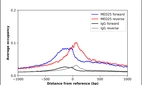 ChIP-Exo-Seq composite graph for Anti-MED25 (HPA068802, Lot 000018373) tested in K562 cells. Strand-specific reads (blue: forward, red: reverse) and IgG controls (black: forward, grey: reverse) are plotted against the distance from a composite set of reference binding sites. The antibody exhibits robust target enrichment compared to a non-specific IgG control and precisely reveals its structural organization around the binding site. Data generated by Prof. B. F. Pugh´s Lab at Cornell University.