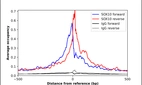 ChIP-Exo-Seq composite graph for Anti-SOX10 (HPA068898, Lot 000049962) tested in K562 cells. Strand-specific reads (blue: forward, red: reverse) and IgG controls (black: forward, grey: reverse) are plotted against the distance from a composite set of reference binding sites. The antibody exhibits robust target enrichment compared to a non-specific IgG control and precisely reveals its structural organization around the binding site. Data generated by Prof. B. F. Pugh´s Lab at Cornell University.
