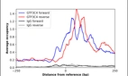 ChIP-Exo-Seq composite graph for Anti-GTF3C4 (HPA069369, Lot R97580) tested in K562 cells. Strand-specific reads (blue: forward, red: reverse) and IgG controls (black: forward, grey: reverse) are plotted against the distance from a composite set of reference binding sites. The antibody exhibits robust target enrichment compared to a non-specific IgG control and precisely reveals its structural organization around the binding site. Data generated by Prof. B. F. Pugh´s Lab at Cornell University.