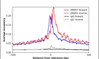 ChIP-Exo-Seq composite graph for Anti-ZMAT4 (HPA069813, Lot 000003430) tested in K562 cells. Strand-specific reads (blue: forward, red: reverse) and IgG controls (black: forward, grey: reverse) are plotted against the distance from a composite set of reference binding sites. The antibody exhibits robust target enrichment compared to a non-specific IgG control and precisely reveals its structural organization around the binding site. Data generated by Prof. B. F. Pugh´s Lab at Cornell University.