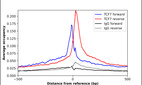ChIP-Exo-Seq composite graph for Anti-TCF7 (HPA070505, Lot R102312) tested in K562 cells. Strand-specific reads (blue: forward, red: reverse) and IgG controls (black: forward, grey: reverse) are plotted against the distance from a composite set of reference binding sites. The antibody exhibits robust target enrichment compared to a non-specific IgG control and precisely reveals its structural organization around the binding site. Data generated by Prof. B. F. Pugh´s Lab at Cornell University.
