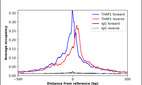 ChIP-Exo-Seq composite graph for Anti-THAP1 (HPA071310, Lot R100445) tested in K562 cells. Strand-specific reads (blue: forward, red: reverse) and IgG controls (black: forward, grey: reverse) are plotted against the distance from a composite set of reference binding sites. The antibody exhibits robust target enrichment compared to a non-specific IgG control and precisely reveals its structural organization around the binding site. Data generated by Prof. B. F. Pugh´s Lab at Cornell University.