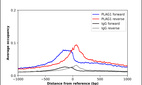 ChIP-Exo-Seq composite graph for Anti-PLAG1 (HPA072290, Lot 000035316) tested in K562 cells. Strand-specific reads (blue: forward, red: reverse) and IgG controls (black: forward, grey: reverse) are plotted against the distance from a composite set of reference binding sites. The antibody exhibits robust target enrichment compared to a non-specific IgG control and precisely reveals its structural organization around the binding site. Data generated by Prof. B. F. Pugh´s Lab at Cornell University.