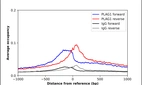 ChIP-Exo-Seq composite graph for Anti-PLAG1 (HPA072290, Lot 000035316) tested in K562 cells. Strand-specific reads (blue: forward, red: reverse) and IgG controls (black: forward, grey: reverse) are plotted against the distance from a composite set of reference binding sites. The antibody exhibits robust target enrichment compared to a non-specific IgG control and precisely reveals its structural organization around the binding site. Data generated by Prof. B. F. Pugh´s Lab at Cornell University.