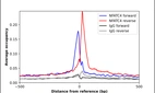 ChIP-Exo-Seq composite graph for Anti-NFATC4 (HPA076526, Lot R112152) tested in K562 cells. Strand-specific reads (blue: forward, red: reverse) and IgG controls (black: forward, grey: reverse) are plotted against the distance from a composite set of reference binding sites. The antibody exhibits robust target enrichment compared to a non-specific IgG control and precisely reveals its structural organization around the binding site. Data generated by Prof. B. F. Pugh´s Lab at Cornell University.