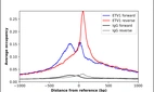 ChIP-Exo-Seq composite graph for Anti-ETV1 (HPA077249, Lot 000004123) tested in K562 cells. Strand-specific reads (blue: forward, red: reverse) and IgG controls (black: forward, grey: reverse) are plotted against the distance from a composite set of reference binding sites. The antibody exhibits robust target enrichment compared to a non-specific IgG control and precisely reveals its structural organization around the binding site. Data generated by Prof. B. F. Pugh´s Lab at Cornell University.