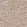 Anti-DCAF8 Antibody
