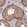 Anti-KIF26A Antibody