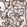 Anti-PDLIM2 Antibody