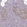 Anti-ZNF362 Antibody