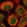 Anti-MLLT3 Antibody